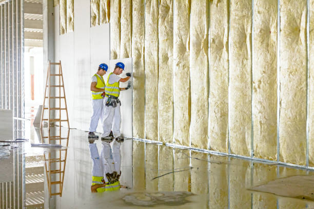Best Cellulose Insulation  in Carlton, OR
